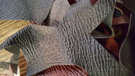 shark leathers australia